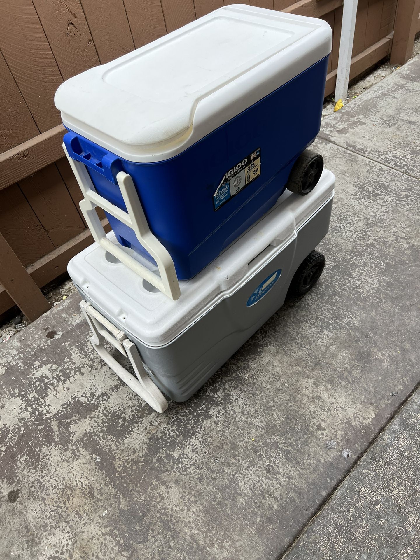 Coolers Yeleras