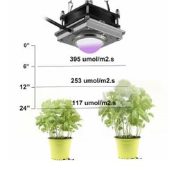Hanging Grow Light 