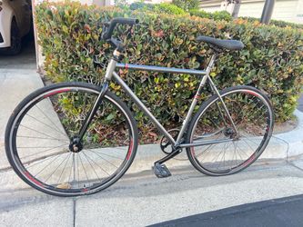 Fuji declaration fixie