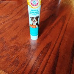 Dog Tooth Paste And Dog Paste For Gums