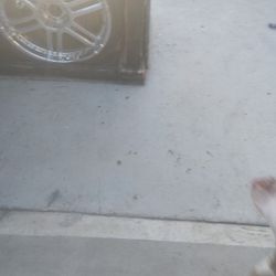 Rims For Car