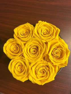 Roses in box - yellow
