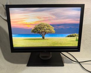 Dell 19" Ultra Sharp Flat Panel Monitor