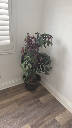 4ft tall artificial house plant