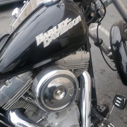 04 Softail Harley Davidson