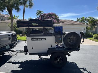 2022 Taxa Woolly Bear