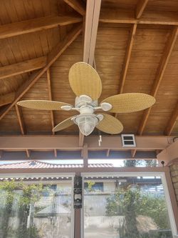 Ceiling fan With Light