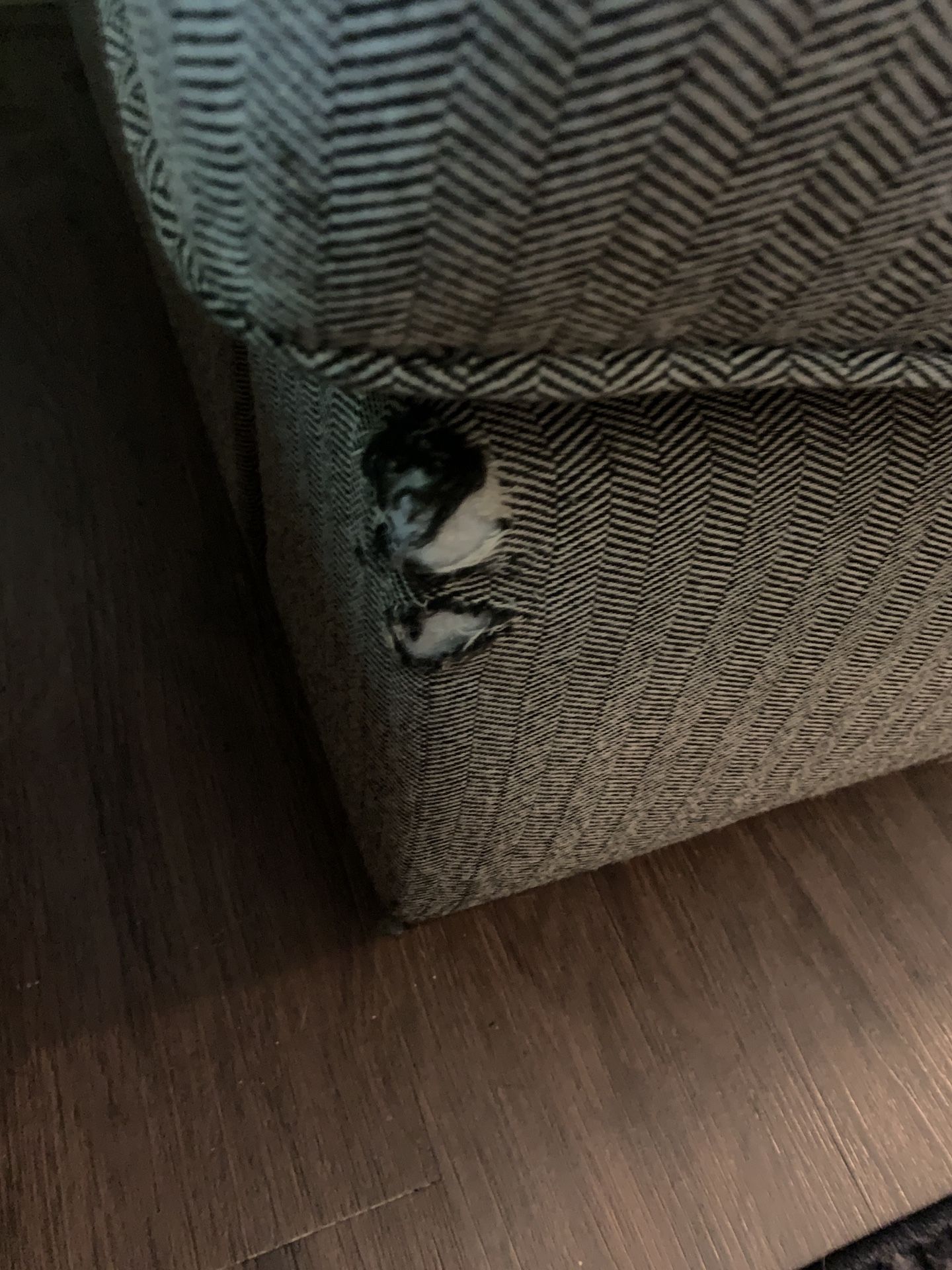 Used Grey Couches for Sale in Eugene, OR OfferUp