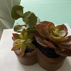 Artificial Succulent Plant