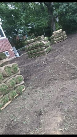 fresh sod cut every morning delivery available 