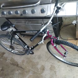 Trek Mountain Bike 