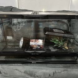 Reptile Tank And Accessories