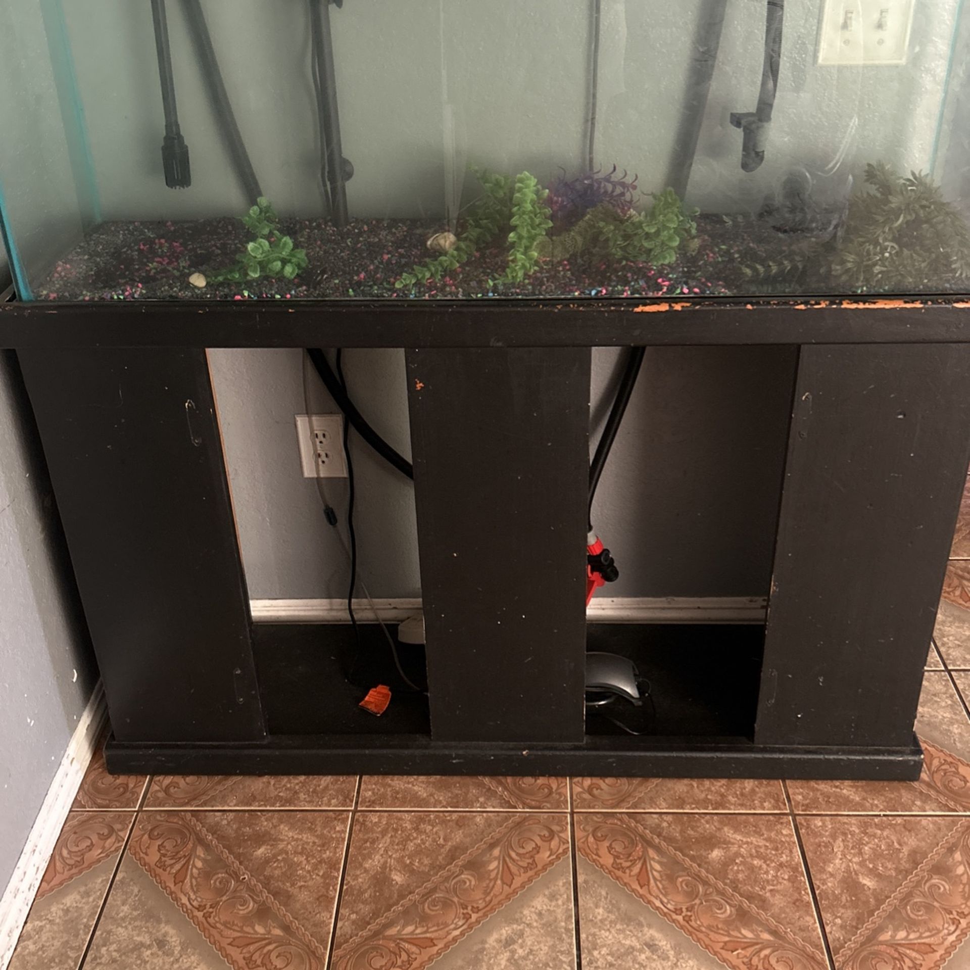 Fish Tank Only