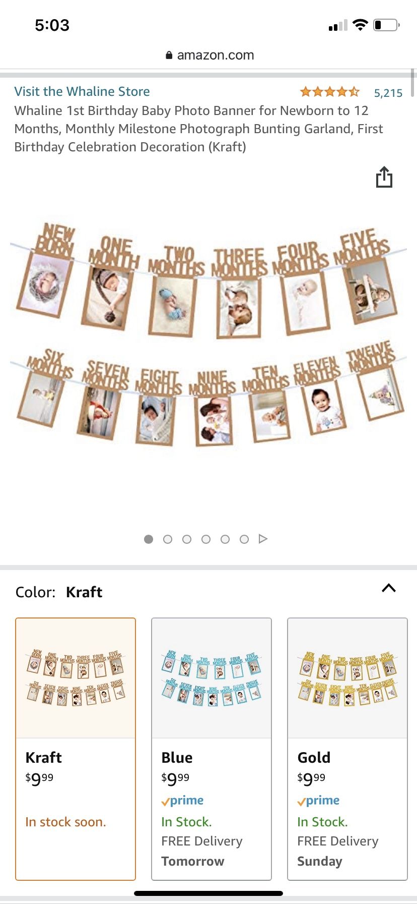 Brand new 1 Year Baby Photo Banner 