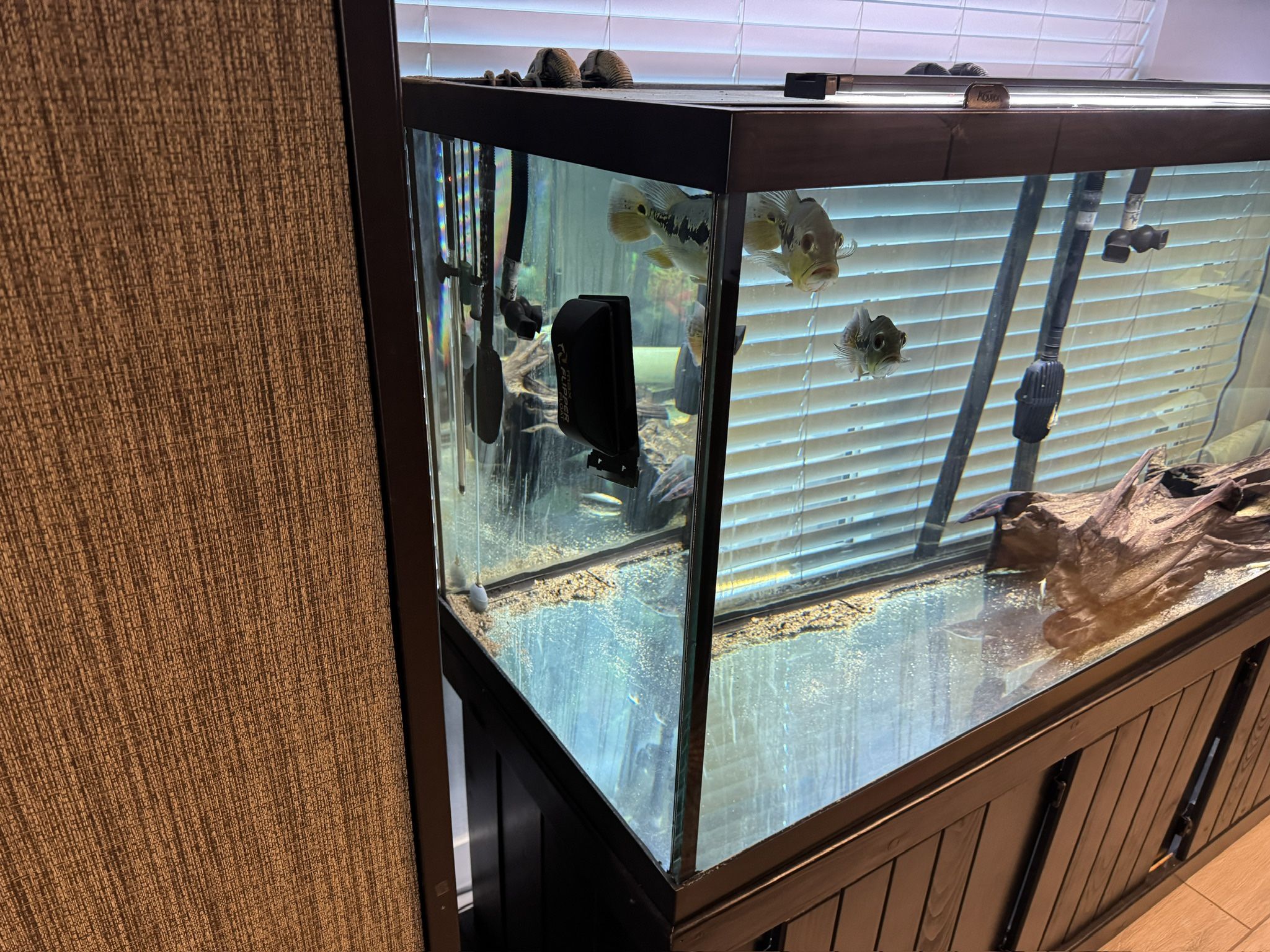 210 Gallon Fish Tank