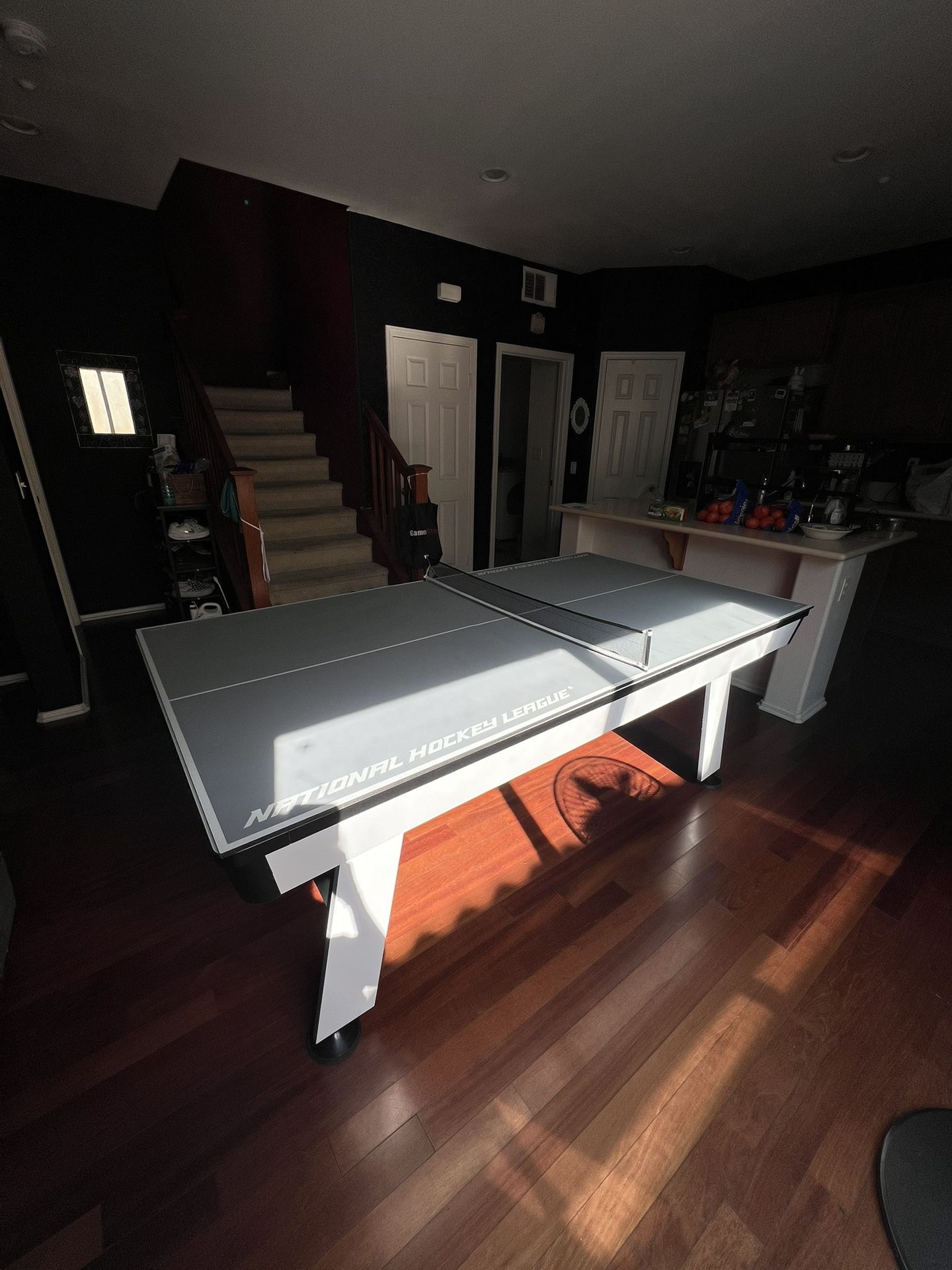Air Hockey/Ping Pong Table