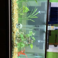 Fish tank 75 gallon