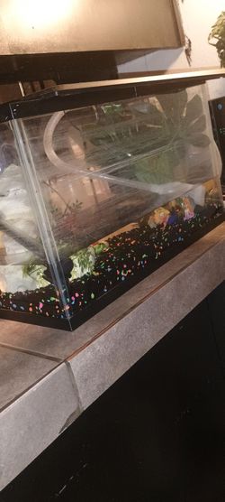 Fish tank