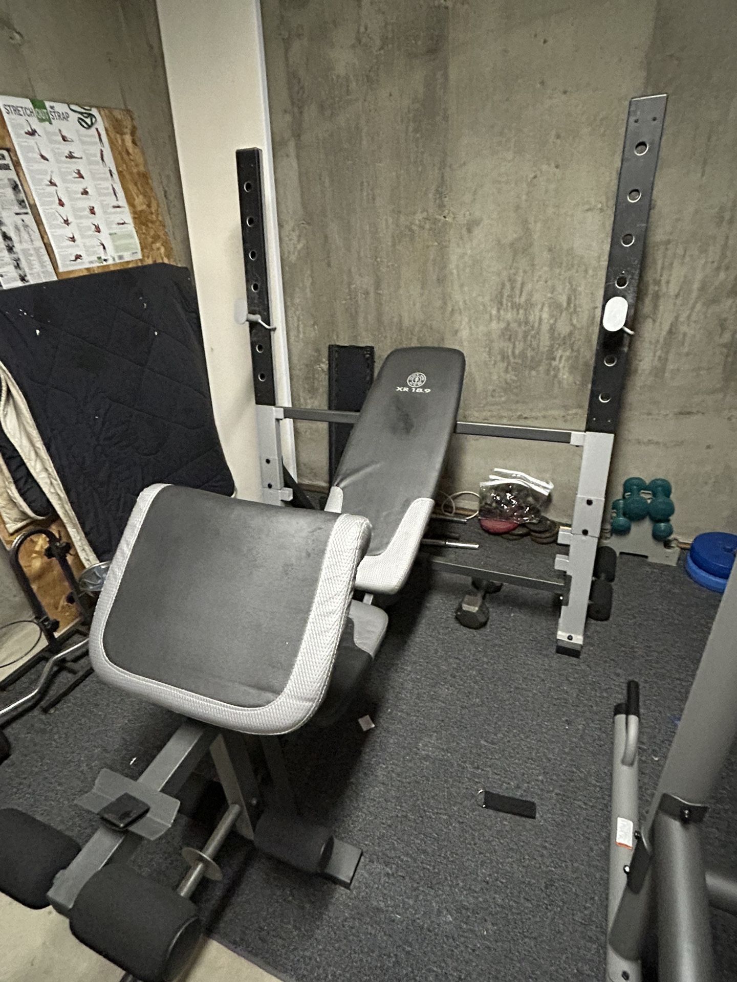 Golds Gym Olympic Weight Bench