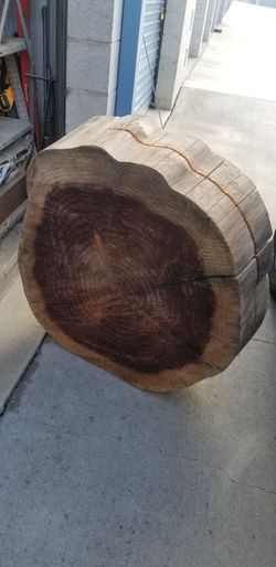 Tree Slice