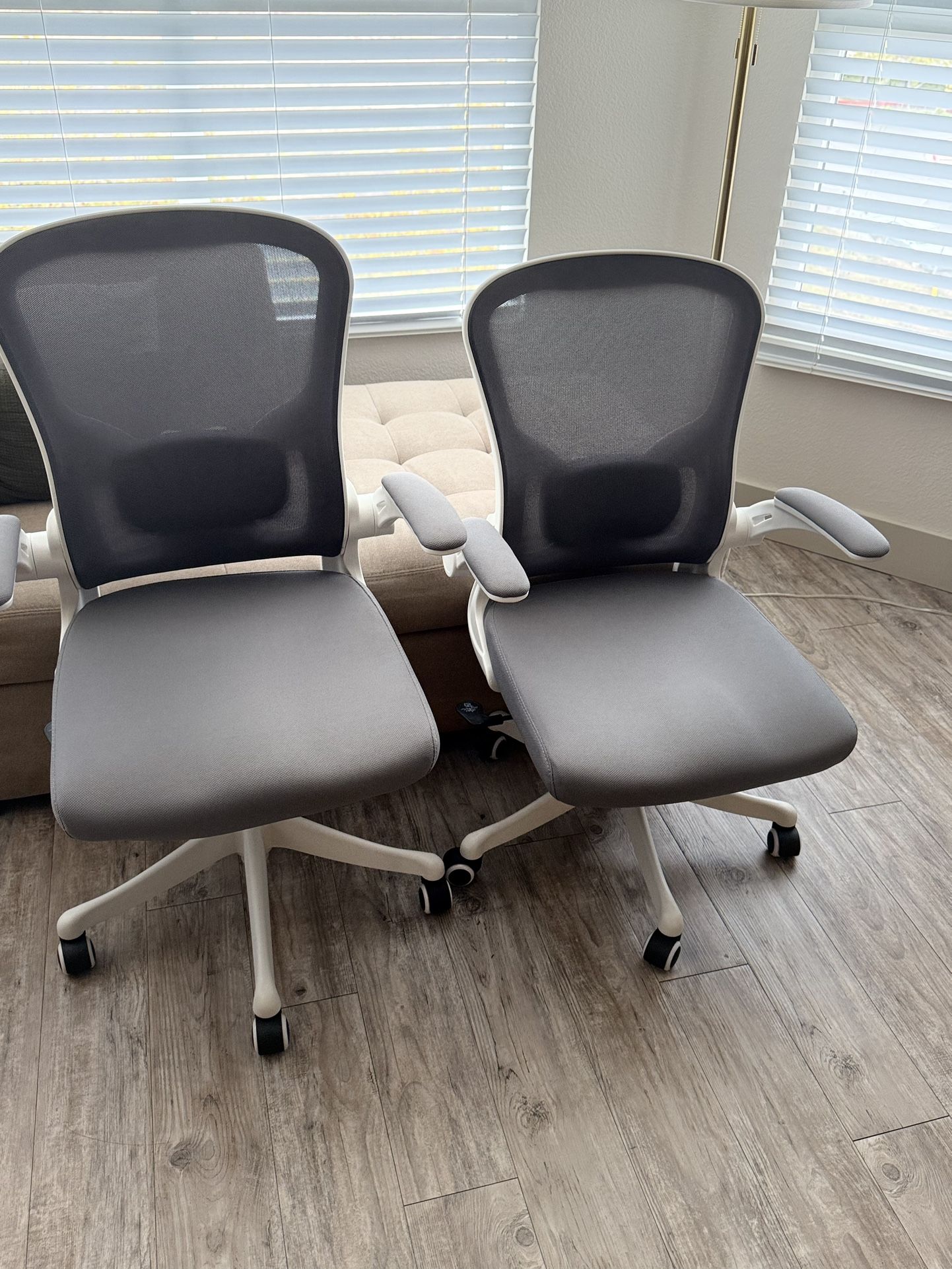 Office Chairs 