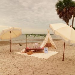 Luxury Picnic designed to your liking Tampa FL