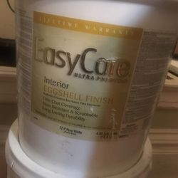5 gallon Egg white paint