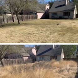 Cleanouts & Trash Help