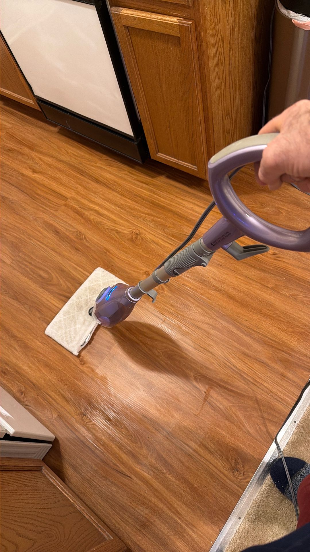 Shark Steam Mop