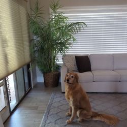 Large Fake Plant In Wicker Pot 