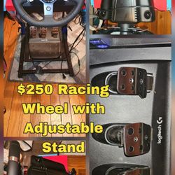 wheel and gas pedal 