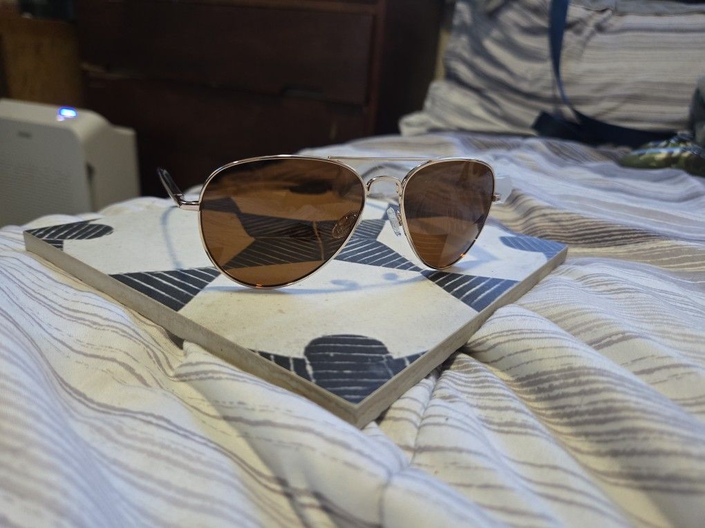 Polorized Aviator Sunglasses