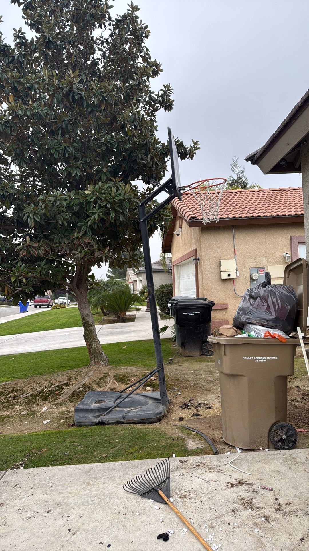 Basketball Hoop Free