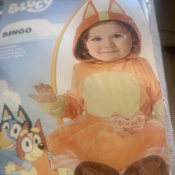 Bluey Girl Costume 
