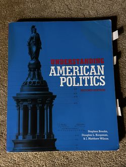 Understanding American politics second edition
