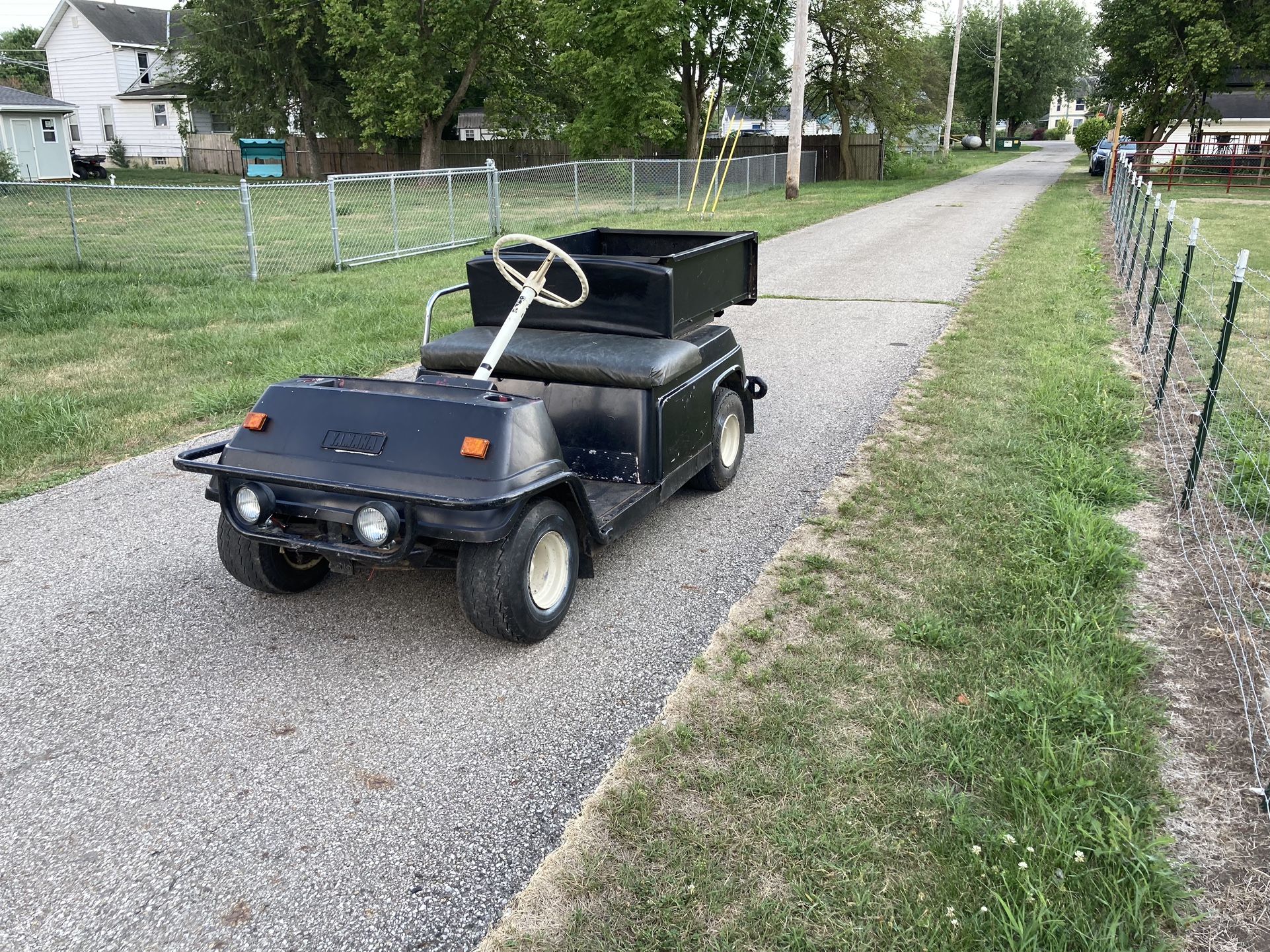 Gas Golf Cart