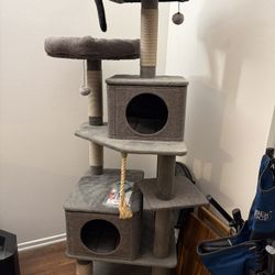 Cat Modern Tree 
