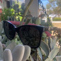 Kate Spade Sunglasses