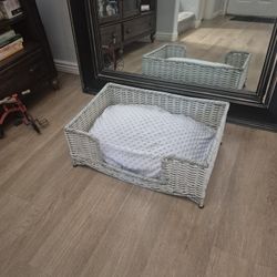 DOG  BED  🐕 (For Small Cuties)