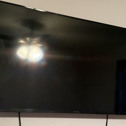 NS-48D510NA17 48-Inch 1080p LED HDTV With Roku