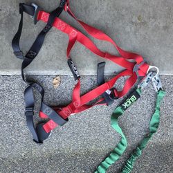 New Buckingham Safety Harness