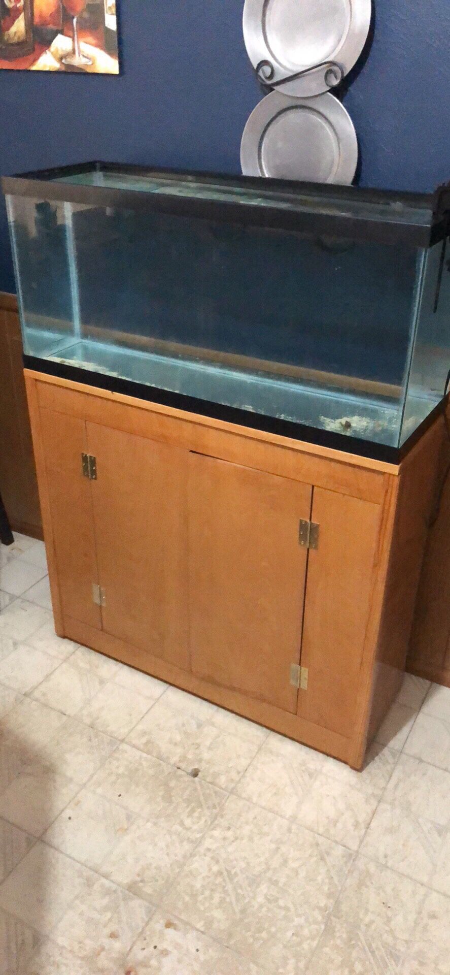 30 Gallon aquarium With Stand And filter.