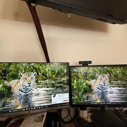 Two computer Monitors