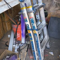 14' Werner Multi-position Ladder