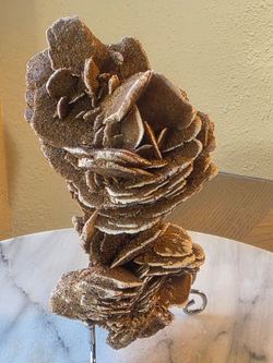 1.4 lb (619g) Desert Rise Specimen With a Stand