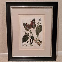 Vintage Botanical Butterfly Framed Art – Classic Black Frame (23.5” x 19.5”)