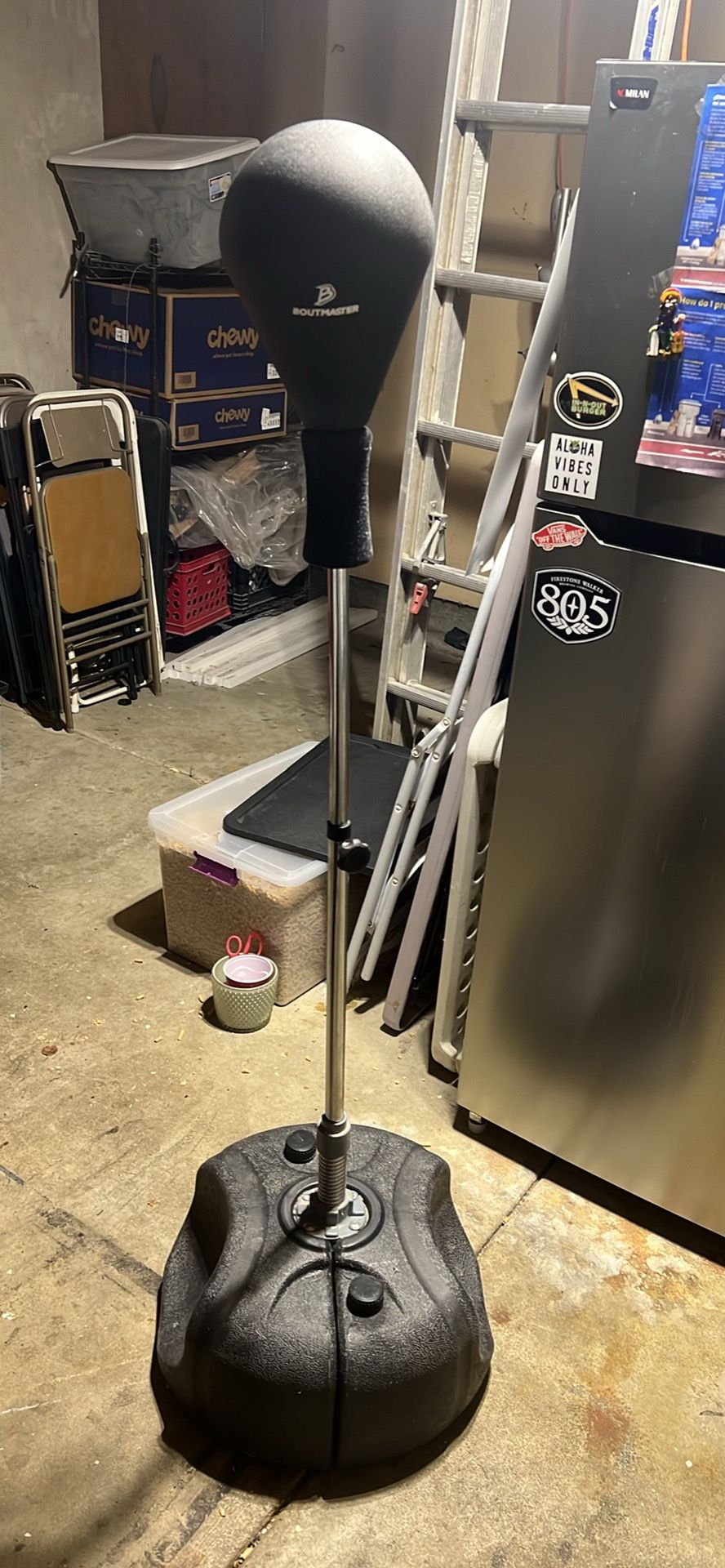 Reflex Punching Bag + Gloves