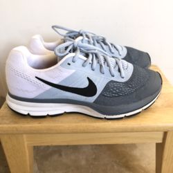 Men’s Nike Pegasus Shoes