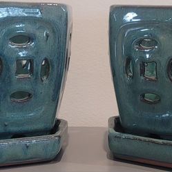 Beautiful Plant, Flower Pot