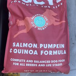 Brand new dog Food